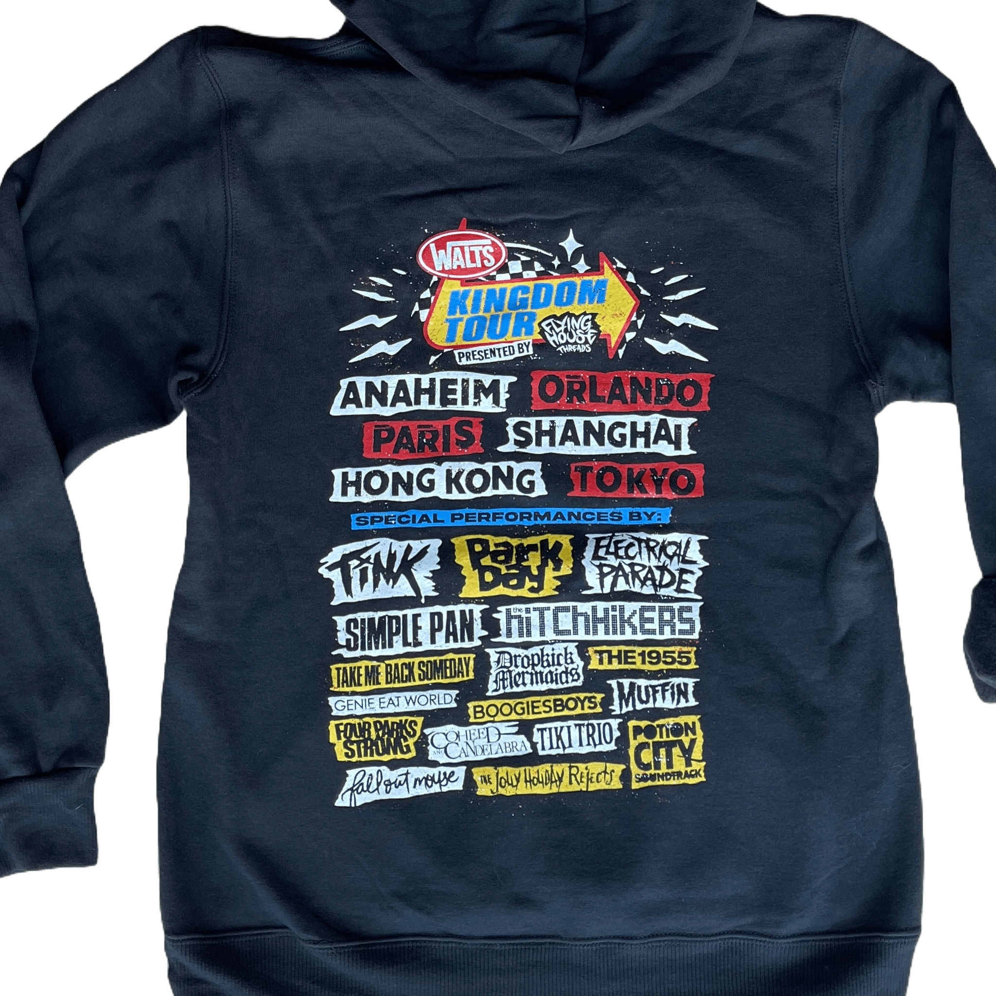 Kingdom Tour Adult Hoodie - flyinghousethreads