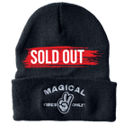 Magical Vibes Beanie - flyinghousethreads