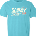 Soarin T-Shirt - Triblend (Preorder) - Flying House Threads