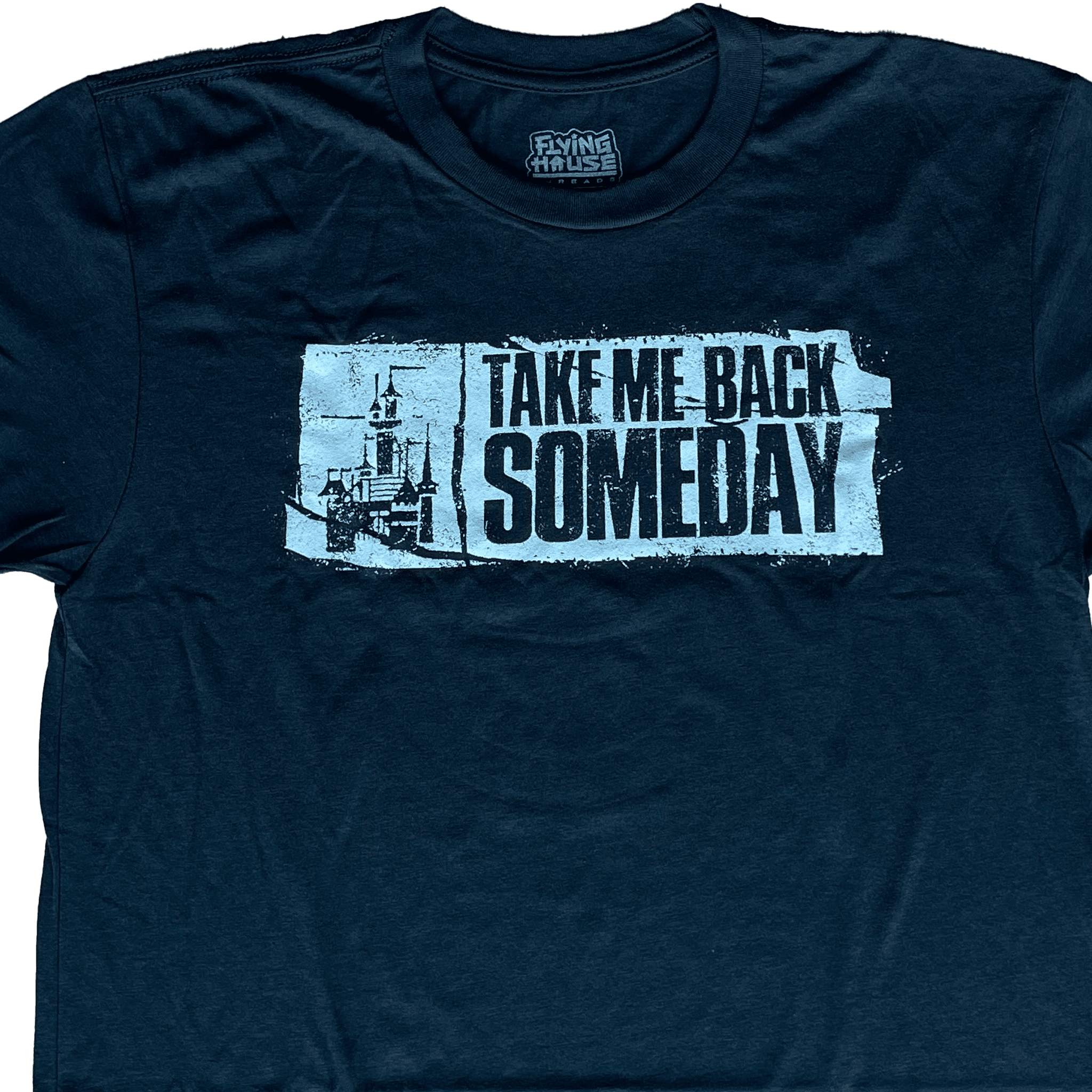 Take Me Back Someday T-Shirt - Triblend - flyinghousethreads
