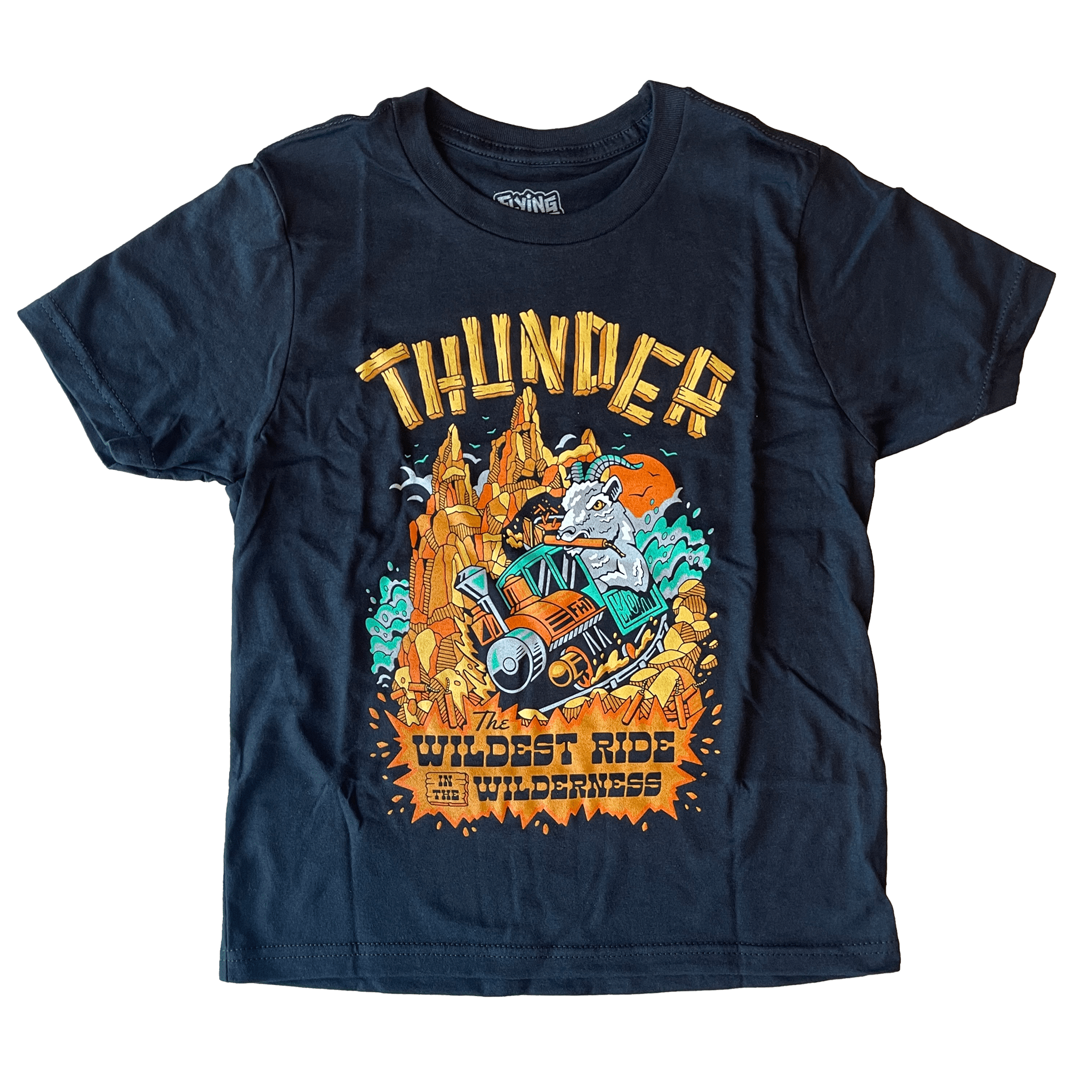 Youth Thunder 2.0 T-Shirt - Triblend - flyinghousethreads